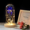 Beauty And Beast Rose
