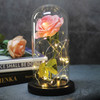 Beauty And Beast Rose