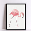 Watercolor Flamingo Canvas Art Print Poster, Wall Pictures for Home Decoration, Giclee Print Wall Decor Watercolor Flamingo Canvas Art Print Poster, Wall Pictures for Home Decoration, Giclee Print Wall Decor