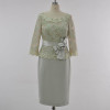 New Sleeveless Neck Slim Lace Embroidered Silk Polyester Blend Straight Dress