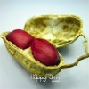 New Seeds 2017!2 pcs/bag Garden organic plants peanut seeds, vegetable seeds and also fruit seeds potted plants jardin,#C2VYHL