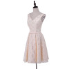 New arrival elegant cocktail  party dress lace dresses Vestido de Festa V-neck lace -up short dresses