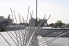 UV Proof Stainless STEEL Bird Spikes,5 Row Extra Wide Bird Spikes-Set of 1(50cm)
