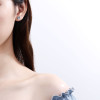 Round Cut Moissanite Diamond Classis Stud Earrings