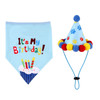 Pet Birthday Party Costume