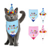 Pet Birthday Party Costume