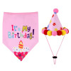 Pet Birthday Party Costume
