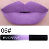 Matte Liquid Lipstick