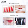 Matte Liquid Lipstick