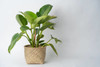 Pot Basket