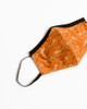 Tiger Children's Face Mask
