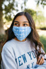 Waterford Face Mask