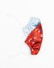 Wildflower Satin Face Mask