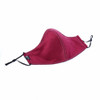 Silk Cloth Face Mask - Burgundy/Slate