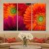 Modern Wall Art Painting Red Flower Oil Picture Print on Canvas Modular Painting  3 Pieces