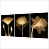HD Print 3 Piece Canvas Art Transparent Flower Black Painting Wall Picture For Living Room Wall Art