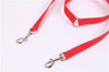 Double Dog Leash