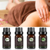 Aromatherapy Pure Massage Essential Oil