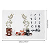 Baby Blanket Flannel Photography Monthly