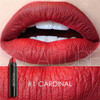 Matte Waterproof Liquid Lipstick