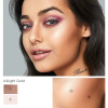 Makeup Highlighter Bronzer Palette