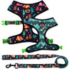 Mesh Harness/Leash Combo Set