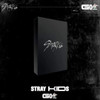 Stray Kids GO生 Limited Version - Official