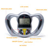 Digital Lcd Fat Analyzer