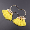 Golden Hoop Coin Charm and Fringe Earrings
