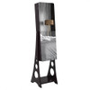 Full Body Makeup Mirror Cabinet Jewelry Storage Box