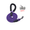5ft Durable Reflective Nylon Dog Leash in 6 COLORS