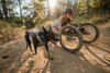 Ruffwear Switchbak Dog Harness