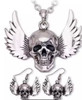 Skull and wings necklace set