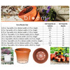 Bloem Terra Pot Planter 16" Chocolate