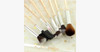 Games of Thrones Inspired 8 Pieces Makeup Brush