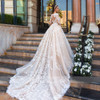 Long Sleeve Luxury Beaded Lace Appliques V-Neck Princess Bride Wedding Gown
