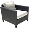 Onyx Lounge Chair with Cushion