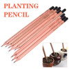 Grow Pencil: a pencil you can plant