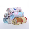 Waterproof Diaper Changing Mat