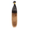 Boujie Peruvian 10A Grade 16" - 26" #1B/30 Ombre Straight Bundles - 100% Human Virgin Hair