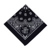 The Late Show with Stephen Colbert Logo Paisley Bandana