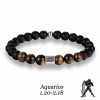 12 Zodiac Signs Tigers Eye Bracelet