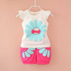 Summer Daisy Set
