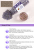 Lavender Dried Flower Herb Lavender Dried Flower Herb