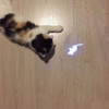 CAT LED ANIMATION MOUSE LAZER POINTER TOY