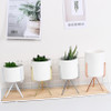 Nordic Style Ceramic Flower Pot