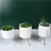 Nordic Style Ceramic Flower Pot