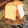 Stainless Steel Camp Toaster