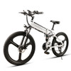 Folding Electric Bike