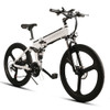Folding Electric Bike